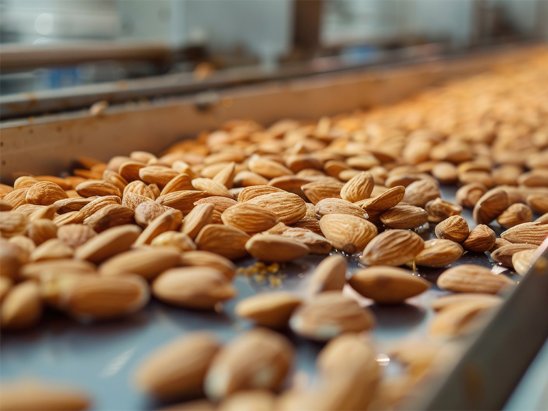 Cintas transportadoras industriales almendra.

Treico Trabaja a medida Cintas transportadoras 
industriales para 
almazaras, almendra 
y agroalimentaria entre otros poductos para instalaciones industriales dedicadas al procesado alimentario.