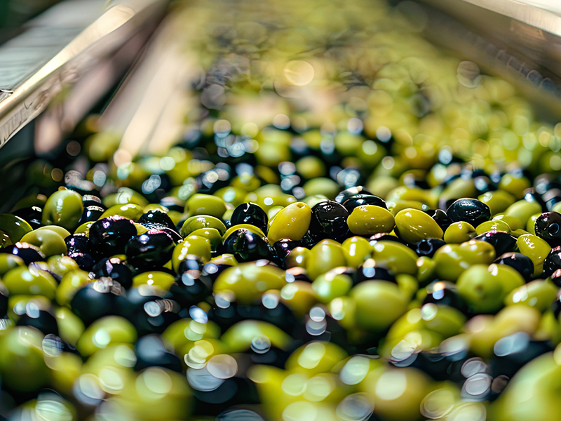 Cintas transportadoras industriales de aceitunas y sector oleícola.

Treico Trabaja a medida Cintas transportadoras 
industriales para 
almazaras, almendra 
y agroalimentaria entre otros poductos para instalaciones industriales dedicadas al procesado alimentario.